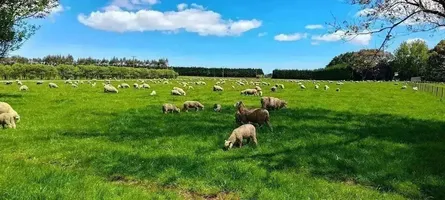 The Importance of Farm-Scale Mapping