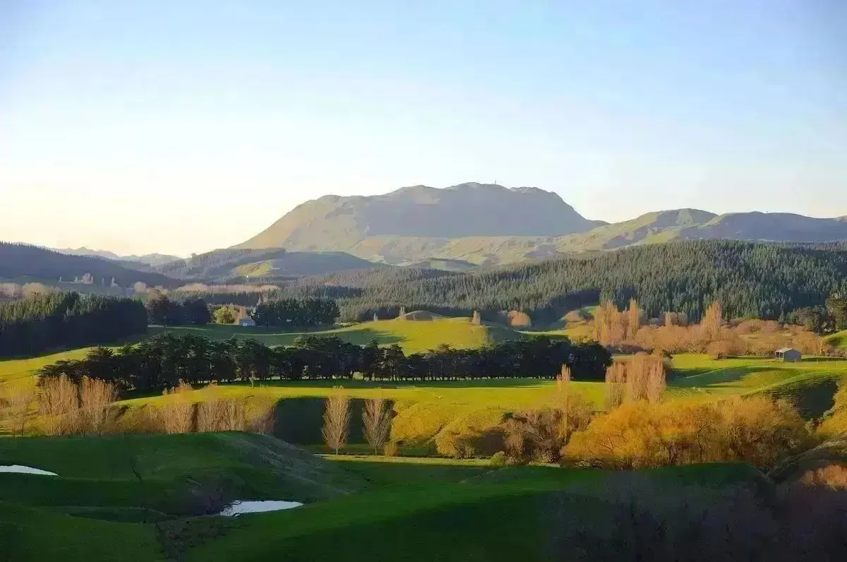Why Good Soil Info Matters for Kiwi Farmers
