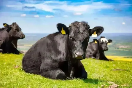 NZ Farm Assurance Programme+