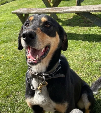 Baxter